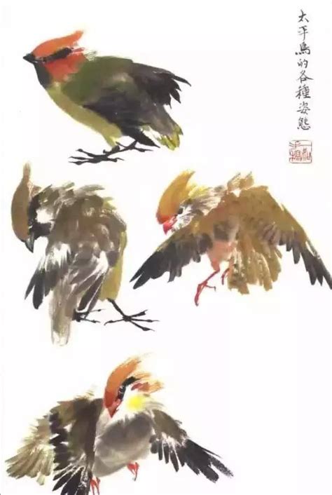 國畫鳥的畫法|【國畫教程】麻雀、太平鳥繪畫技法詳解